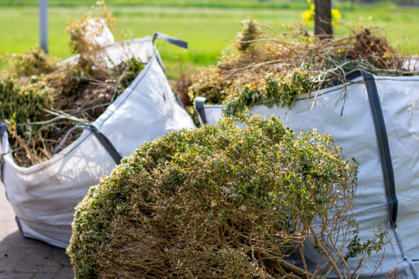 Best Full-Service Junk Removal  in Ladson, SC